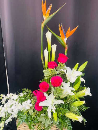 Fleurs