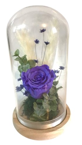 Fleurs