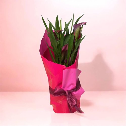 Fleurs