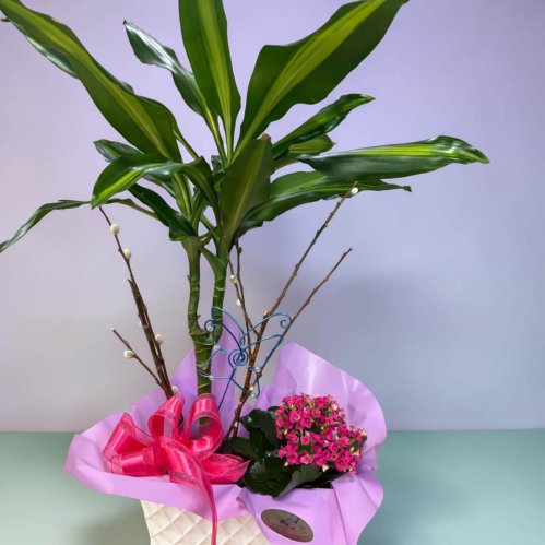 Fleurs