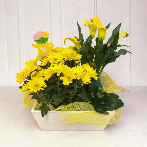 Fleurs